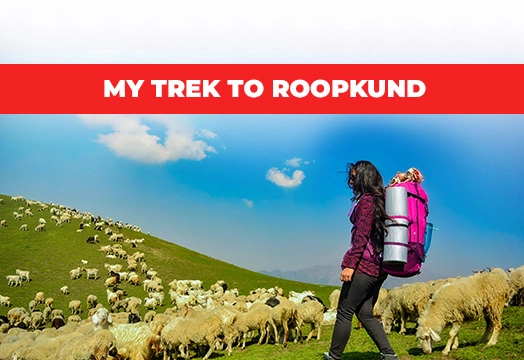 Roopkund Trek in Uttarakhand, Mysterious Trek - Trek The Himalayas